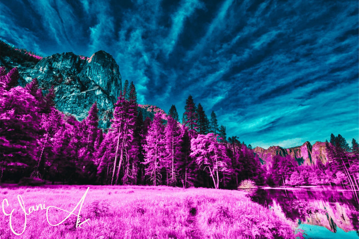THE UNDERSTATED - An Original Vibrant Magenta Forest Under Teal Blue Sky Impressionistic Mountains Landscape Wall Artwork Print by ElaniArt