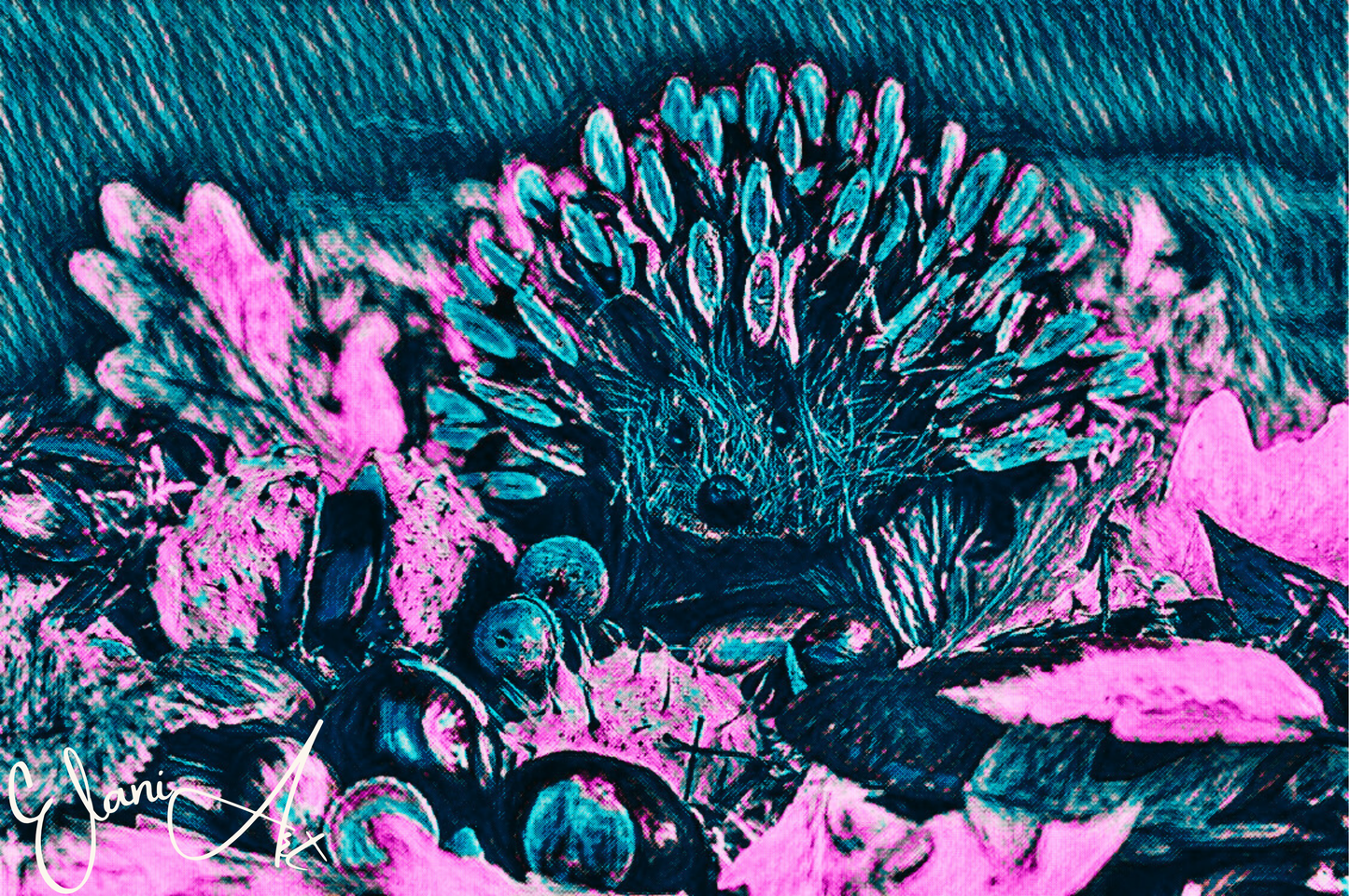 THE HEDGEHOG - An Original Vibrant Pink Blue Colorful Hedgehog Spiny Mammal Wildlife Portraiture Impressionistic Artwork Print by ElaniArt
