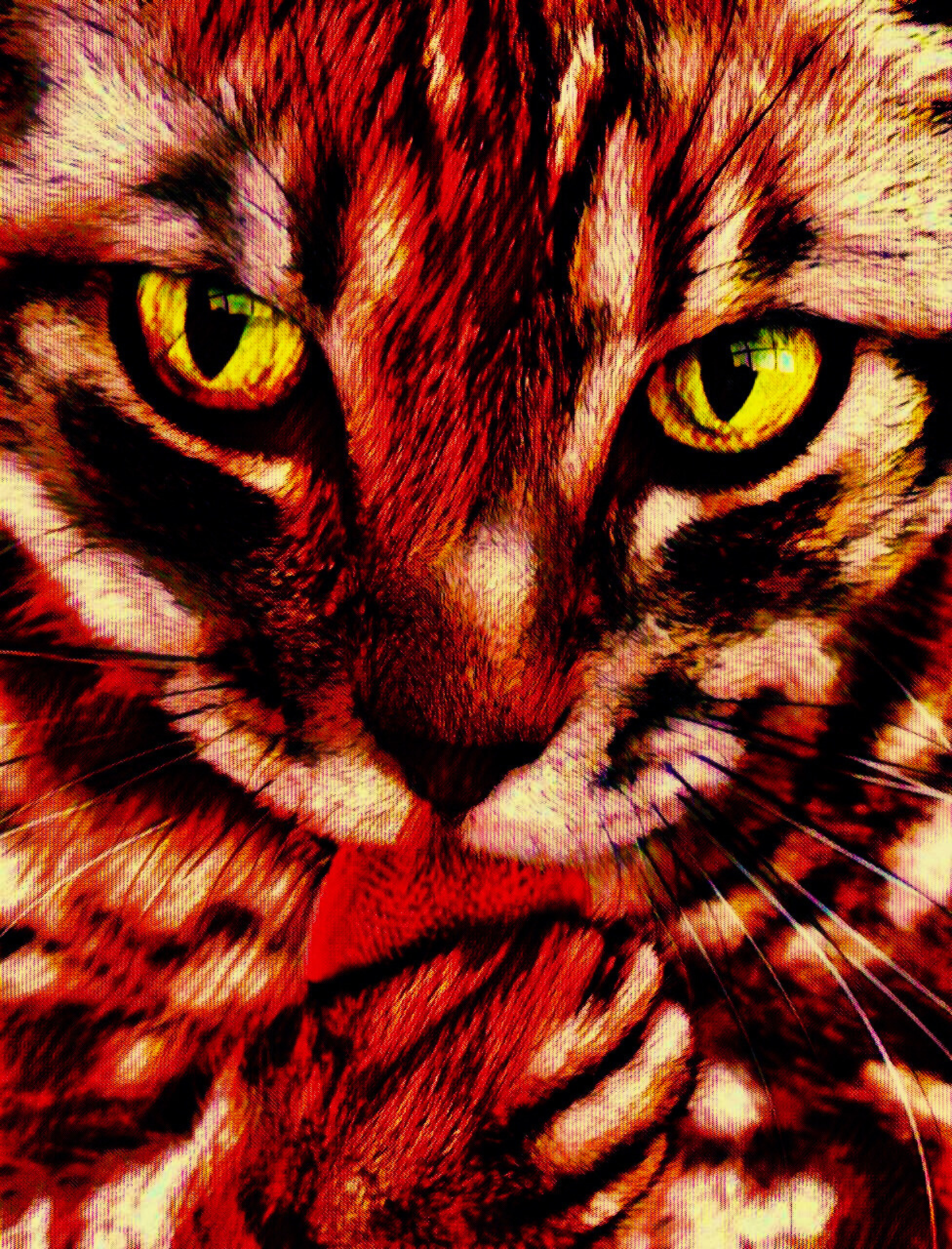 GOT MY TONGUE - An Original Vibrant Red Colorful Cat Licking Paw Feline Close-Up Animal Portrait Impressionistic Artwork Print by ElaniArt