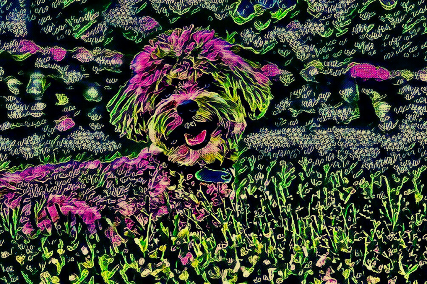 SCRUFFY - An Original Vibrant Pink Green Furry Dog Pet Portrait Open-Mouthed Happy Animal Impressionistic Wall Artwork Print by ElaniArt