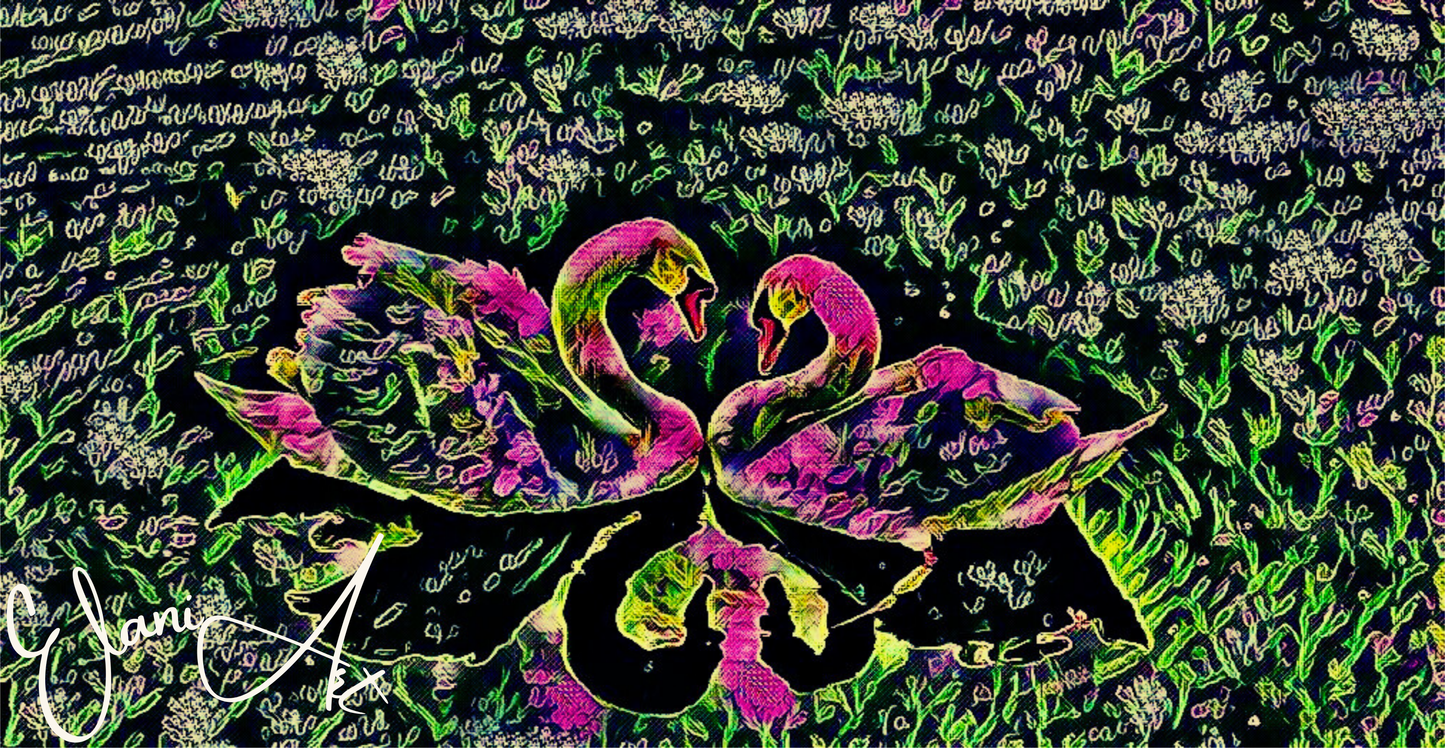 SWAN LOVE - An Original Vibrant Colorful Pink Black Two Swans Swan Couple in a Grassy Pond Impressionistic Wall Artwork Print by ElaniArt