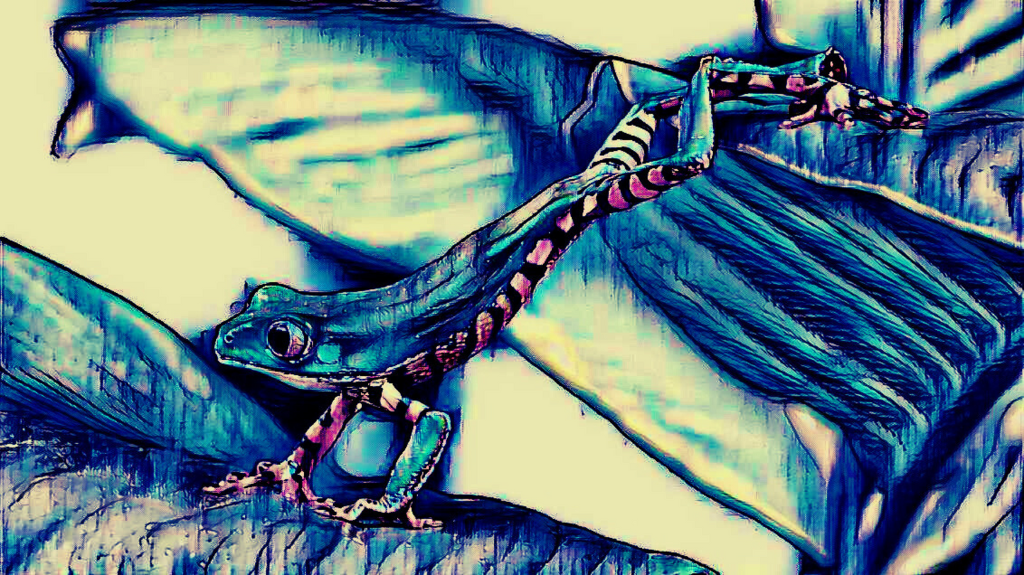 THE FROG - An Original Vivid Blue White Frog Amphibian Vertebrates Wildlife Portrait Impressionistic Wall Artwork Print by ElaniArt