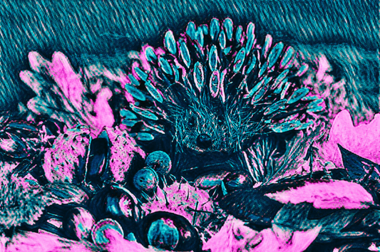 THE HEDGEHOG - An Original Vibrant Pink Blue Colorful Hedgehog Spiny Mammal Wildlife Portraiture Impressionistic Artwork Print by ElaniArt