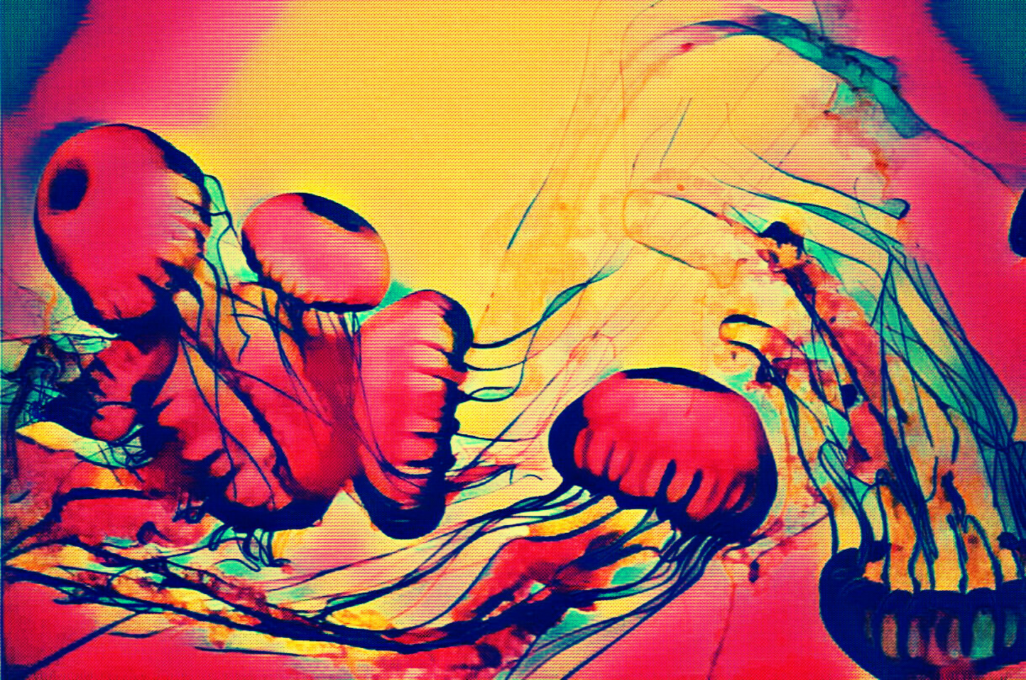 THE JELLIES - An Original Vibrant Colorful Jellyfish Sea Jellies Marine Animals Tentacles Impressionistic Bloom Artwork Print by ElaniArt