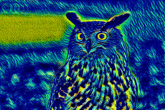 THE LONE OWL - An Original Vibrant Colorful Blue Yellow Owl Predator Bird Wildlife Animal Portrait Impressionistic Artwork Print by ElaniArt