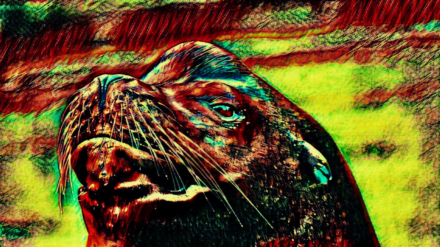 THE SEA LION - An Original Vivid Red Yellow Sea Lion Pinniped Whiskers Marine Mammal Portrait Impressionistic Wall Artwork Print by ElaniArt