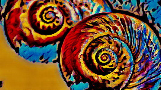 THE SNAILS - An Original Vibrant Red Yellow Colorful Coiled Shelled Snails Gastropods  Impressionistic Wall Artwork Print by ElaniArt