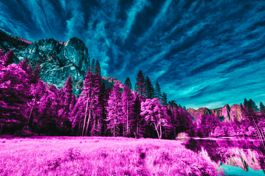 THE UNDERSTATED - An Original Vibrant Magenta Forest Under Teal Blue Sky Impressionistic Mountains Landscape Wall Artwork Print by ElaniArt