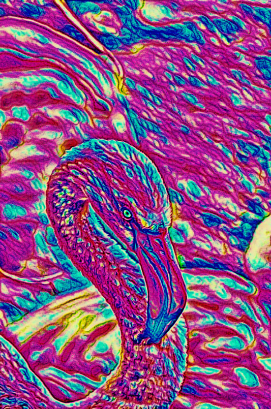THE FLAMINGO - An Original Vibrant Pink Magenta Colorful Flamingo Bird Head Neck Close-Up Portrait Impressionistic Artwork Print by ElaniArt