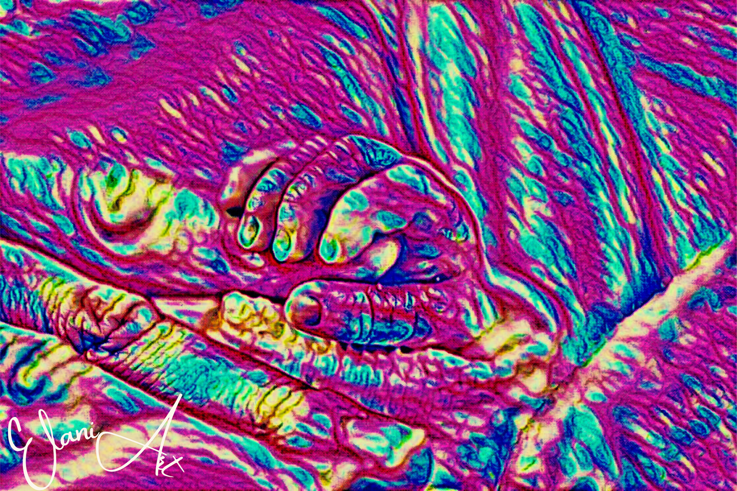 THE HAND - An Original Vibrant Pink Blue Colorful Baby's Hand Wrapped Around Mother's Finger Impressionistic Wall Artwork Print by ElaniArt